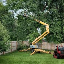 Best Tree Health Inspection  in Keizer, OR