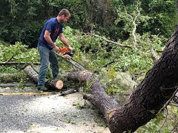 Best Lot and Land Clearing  in Keizer, OR